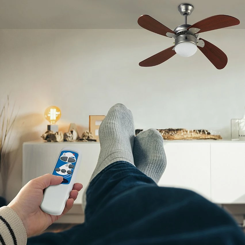 Meilleure affaire đ TĂ©lĂ©commande universelle de ventilateur plafond đ 4 Meilleure affaire đ TĂ©lĂ©commande universelle de ventilateur plafond đ â Image 2
