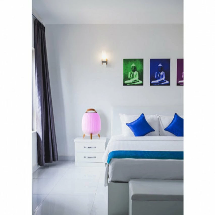 Le moins cher ⭐ Lanterne nomade musicale EZIlight® Ambiant XL 🔔 7 Le moins cher ⭐ Lanterne nomade musicale EZIlight® Ambiant XL 🔔 – Image 5