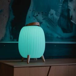 Bon marché ❤️ Lanterne nomade musicale ezilight® ambiant M - pack de 2 lampes 😍 9 Bon marché ❤️ Lanterne nomade musicale ezilight® ambiant M - pack de 2 lampes 😍 -Atmosphera Soldes 3760190145949 3