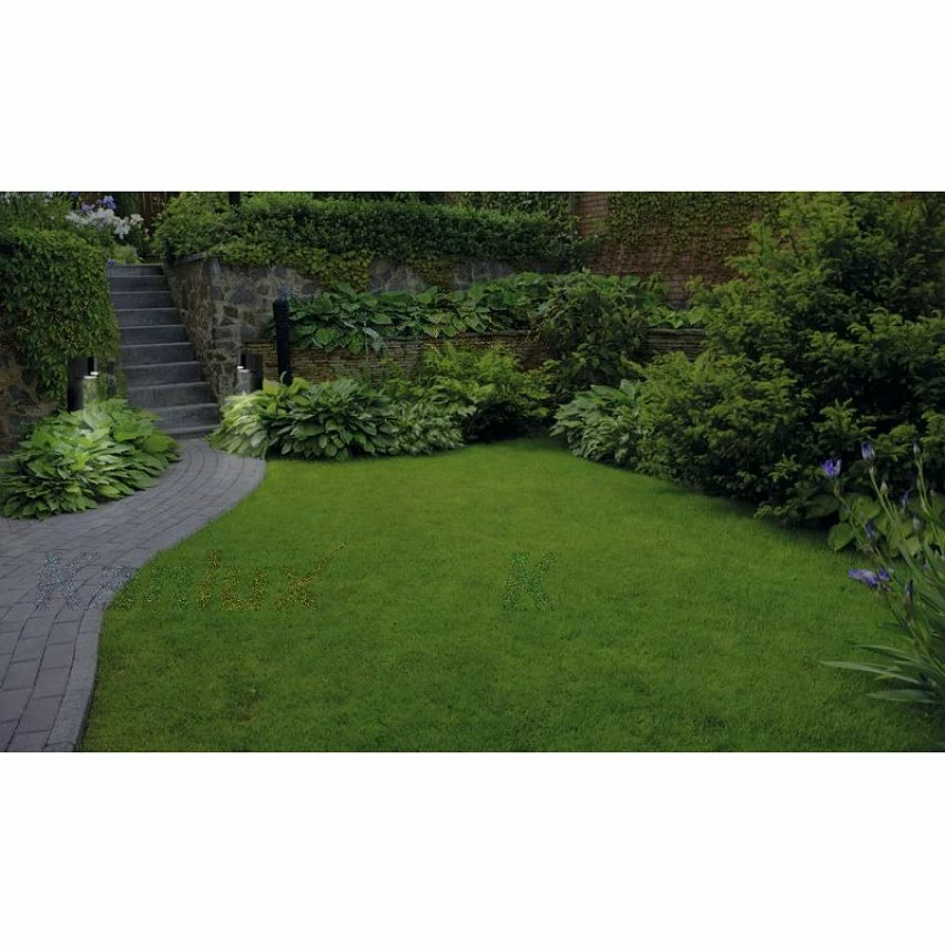 Budget 🎁 Kanlux Luminaire mural pour 2 ampoules GU10 étanche IP44 Noir ✨ 5 Budget 🎁 Kanlux Luminaire mural pour 2 ampoules GU10 étanche IP44 Noir ✨ – Image 3