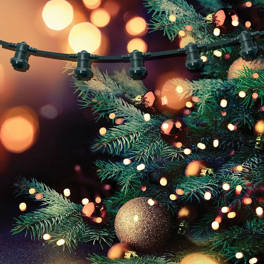 Meilleure vente ⭐ VELAMP PARTY LIGHT: Guirlande lumineuse IP44 extensible 10m, 10 x E27, H05RN-F2x1mm2, vert foncé 👍 7 Meilleure vente ⭐ VELAMP PARTY LIGHT: Guirlande lumineuse IP44 extensible 10m, 10 x E27, H05RN-F2x1mm2, vert foncé 👍 – Image 5